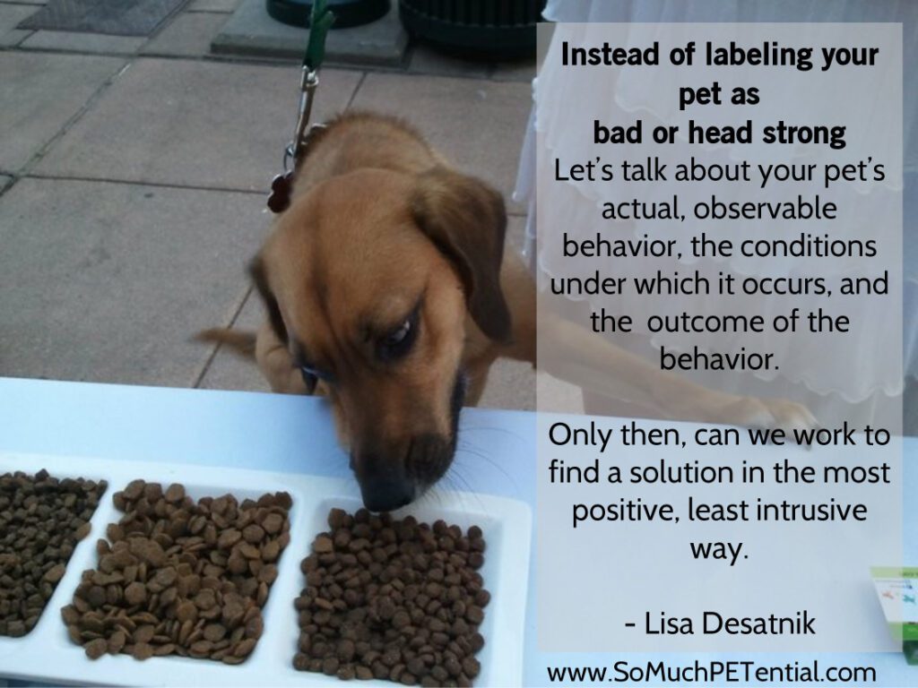 quote on labeling behavior by Lisa Desatnik