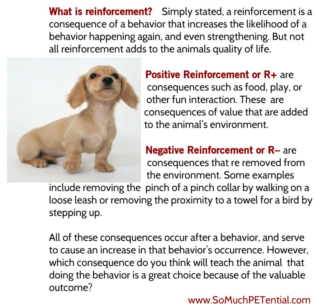 Learning Theory: Positive Reinforcement &amp; Negative Punishment. There ...