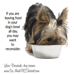 Free feeding dog breeds hotsell