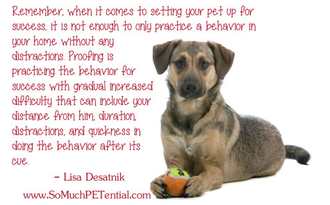 dog training tip - proofing behavior by Cincinnati dog trainer Lisa Desatnik