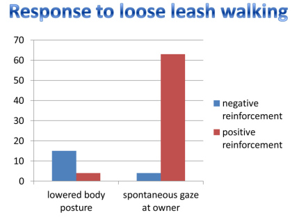 research on teaching a dog to walk on a loose leash with positive vs negative reinforcement