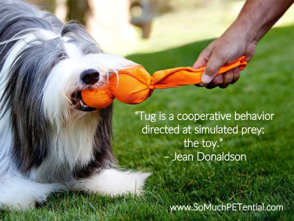 Using Toys as a Training Tool