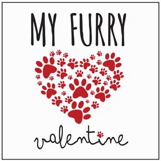 My Furry Valentine