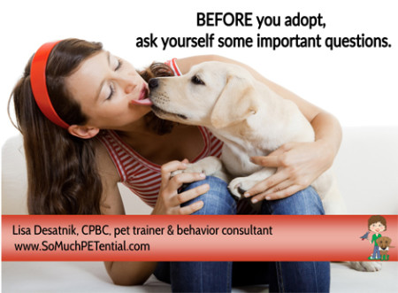 questions to ask yourself before adopting a dog or puppy