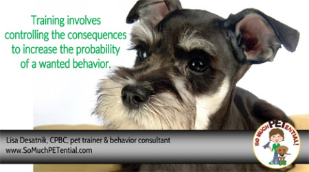 dog and pet training involves controlling the consequences to make behaviors more probable