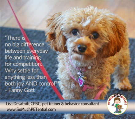 In a dog training workshop, instructor Fanny Gott reminded us, that self control is driven by the dog’s choice. 