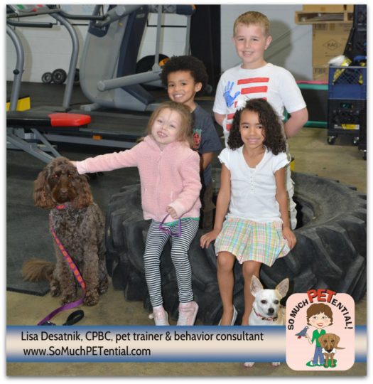 Children in Cincinnati learned how to be good dog friends and dog trainers and dog trainer, Lisa Desatnik's My Dog Super Hero kids class in Blue Ash