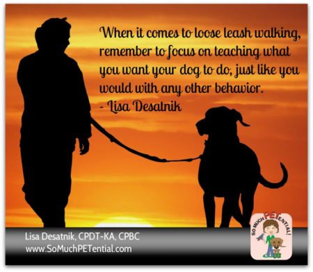 Teach loose leash outlet walking