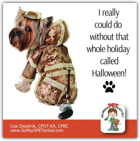 Halloween safety tips for dogs