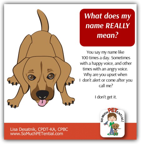 Use Clarity In Teaching Your Dog's Name