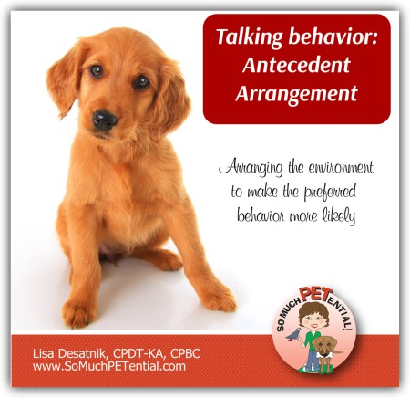 what does aba mean in dog training