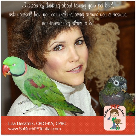 Thoughts on taming your pet bird by Cincinnati certified parrot behavior consultant, Lisa Desatnik