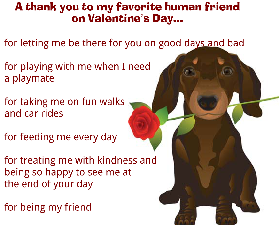 Valentine's Day message from dog