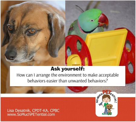 Cincinnati certified dog trainer, Lisa Desatnik, CPDT-KA, CPBC, explains how arranging the environment can help to solve many dog and bird pet behavior problems.