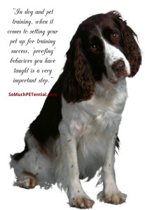 proofing in dog training