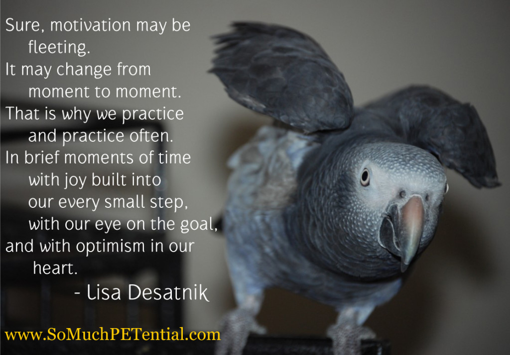 A quote on motivation in pet training