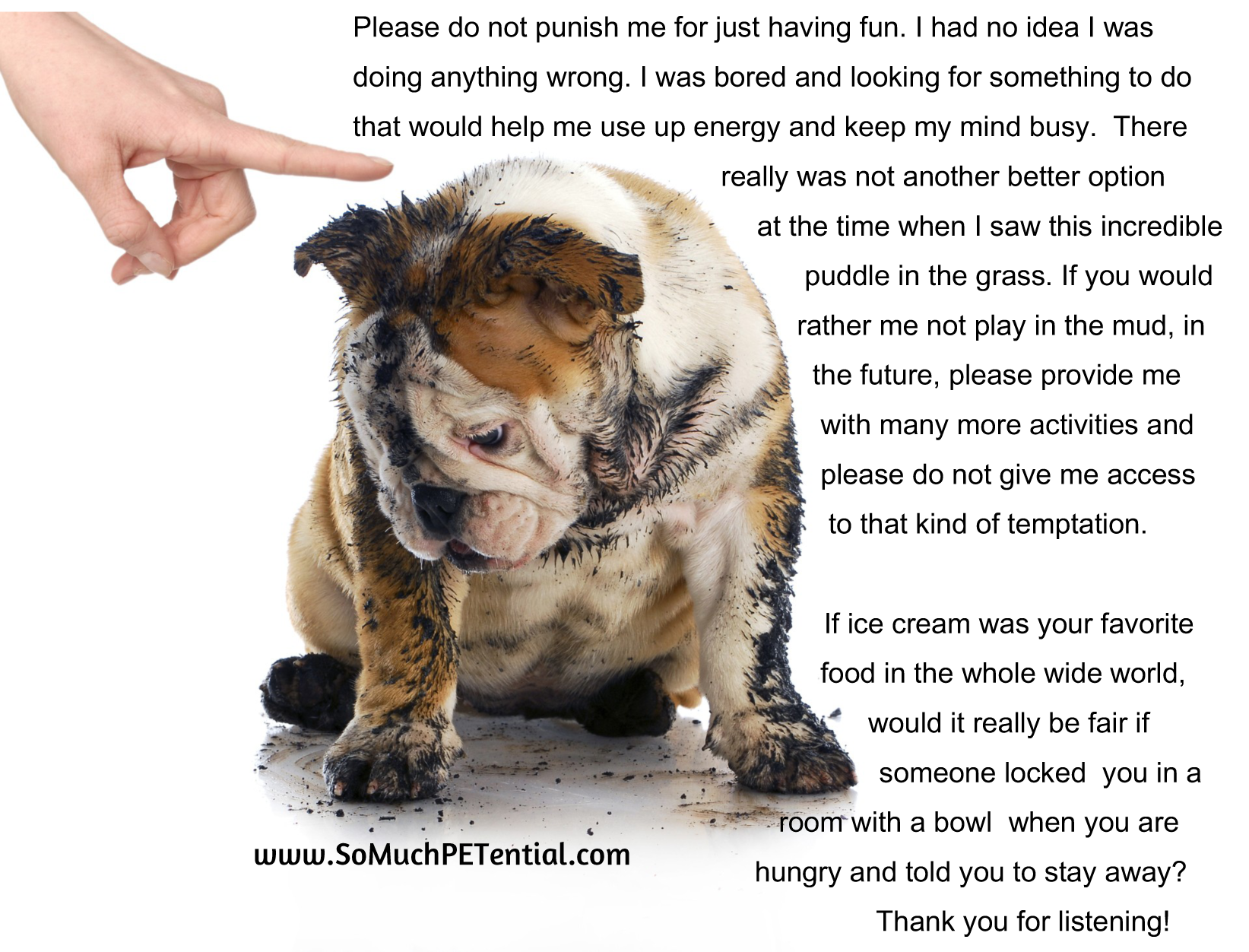 Please Don’t Punish Your Muddy Dog So Much PETential