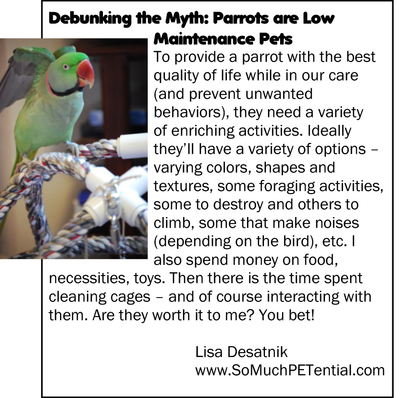 myth about pet parrots