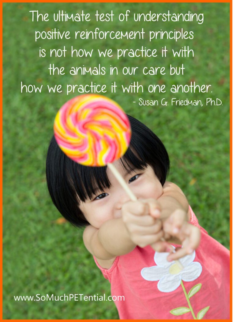 REINFORCEMENT PRACTICE visual data 3