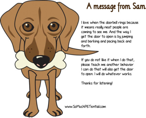 dog training tip - teaching dog calm greetings at the door