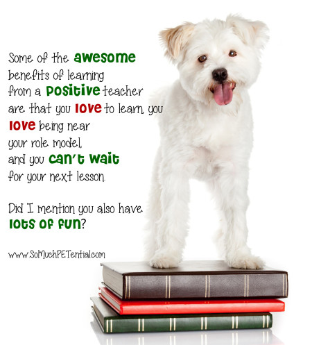 lava Uitputten Ja Some Of The Benefits Of Using Positive Reinforcement | So Much PETential