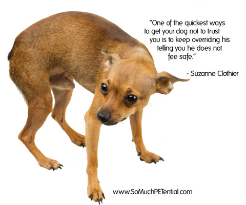 dog quote by Suzanne Clothier