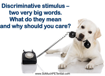 discriminative stimulus and cues in animal training