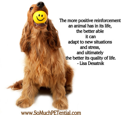 benefits of using positive reinforcement in dog training by Lisa Desatnik