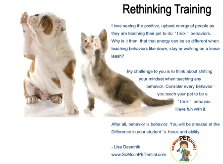 dog and pet training tip: think of training all behaviors as if you are teaching a trick with positive reinforcement