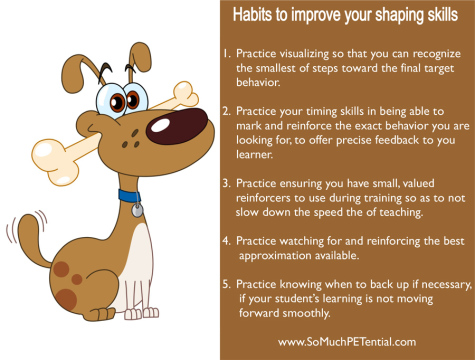 dog training tips to improve shaping
