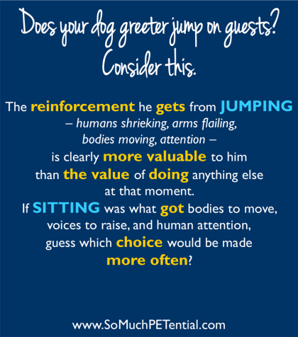 dog training tip about stopping dog from jumping on people