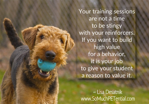 dog training tip from Cincinnati dog trainer Lisa Desatnik