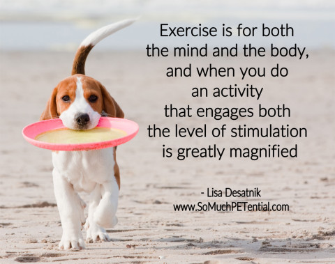 tips to exercise your dog's mind and body