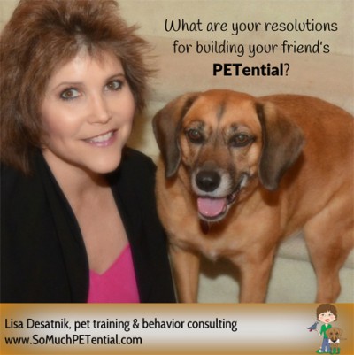 New Year's Resolutions for Dog Training (and parrots and other pets)