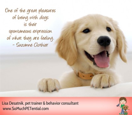 Dog Trainer Suzanne Clothier reminds us that dogs live in the moment