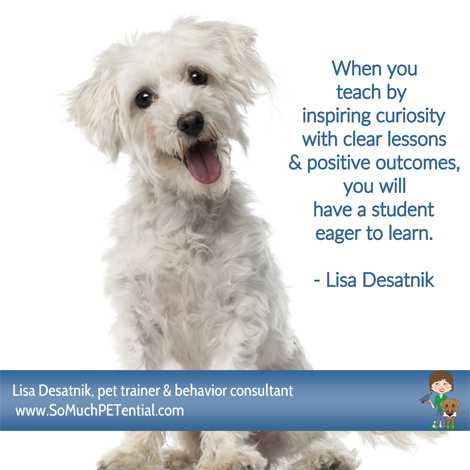 quote about dog training by Cincinnati dog trainer Lisa Desatnik