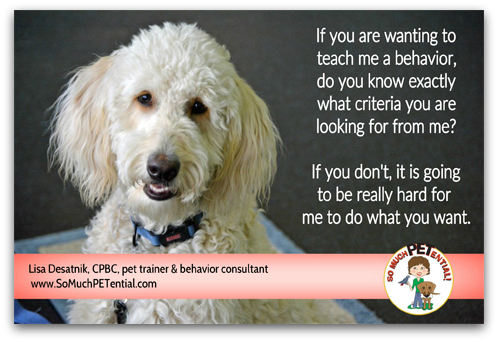 dog and Puppy Training Tip: when training your pet a behavior, know what you want that behavior to look like