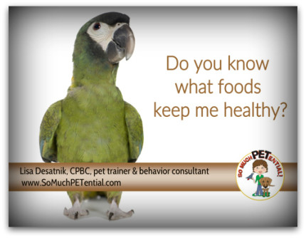 what food should you feed your pet psittacine bird?