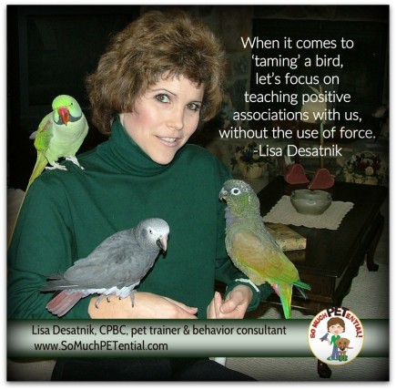 Thoughts by certified parrot behavior consultant, Lisa Desatnik - a dog and parrot trainer in Cincinnati) on taming a pet bird and tips for prevent pet parrot bites