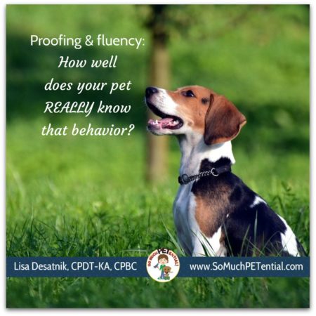 proofing and fluency in dog training