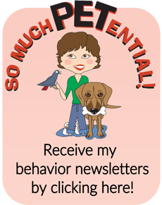 Subscribe to newsletters of Cincinnati dog trainer, Lisa Desatnik