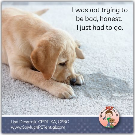 Why is your puppy peeing inside? Do you have a naughty puppy? The answer in this blog post by Lisa Desatnik.