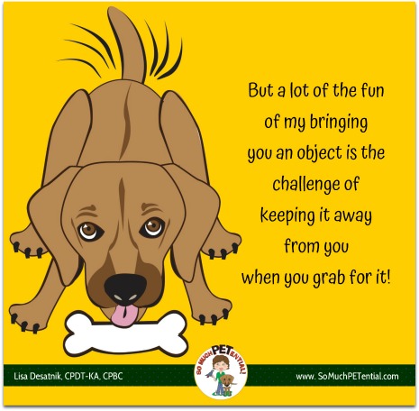 Are you teaching your dog behaviors you do not like?