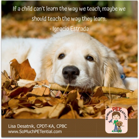 on dog training: If your dog is not getting what you are trying to teach, teach it differently.