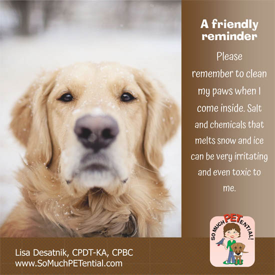 winter safety tip for dogs by certified dog trainer, Lisa Desatnik, CPDT-KA