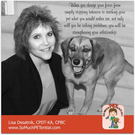 dog training tips for solving behavior problem by Cincinnati certified dog trainer Lisa Desatnik, CPDT-KA