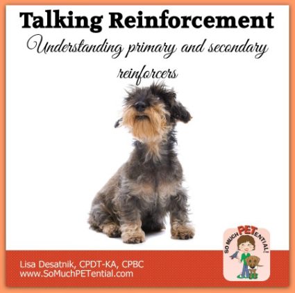 understanding primary and secondary reinforcers in dog training