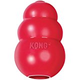 The Kong chew toy is a great enrichment activity for puppies and dogs.