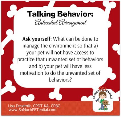 Antecedent Arrangement, or management, and how it can help dog owners solve dog barking out the window problems