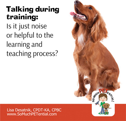 Are you talking too much during dog training? Cincinnati Certified Dog Trainer, Lisa Desatnik, CPDT-KA, CPBC, shares some thoughts.